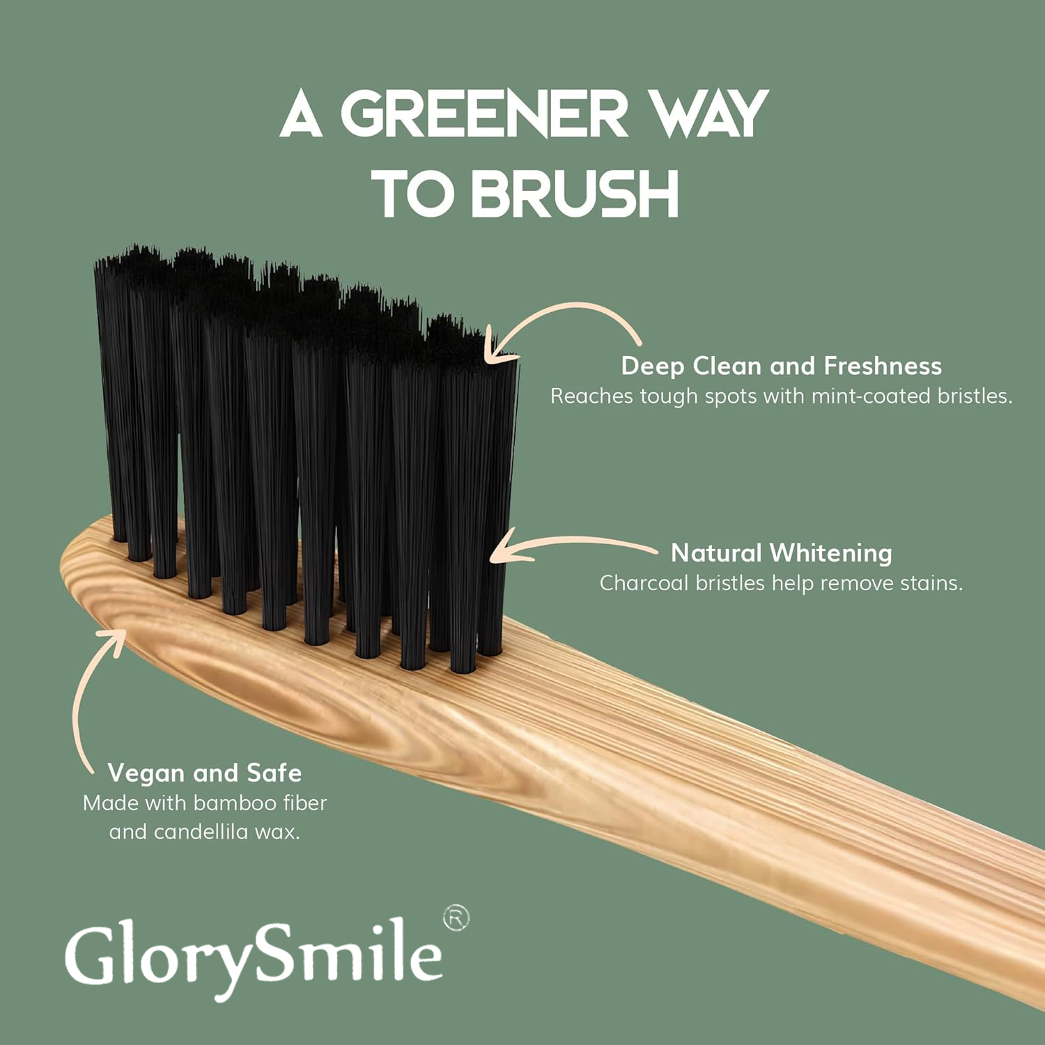 Bamboo Toothbrushes for Adults - Bamboo Toothbrush review and price