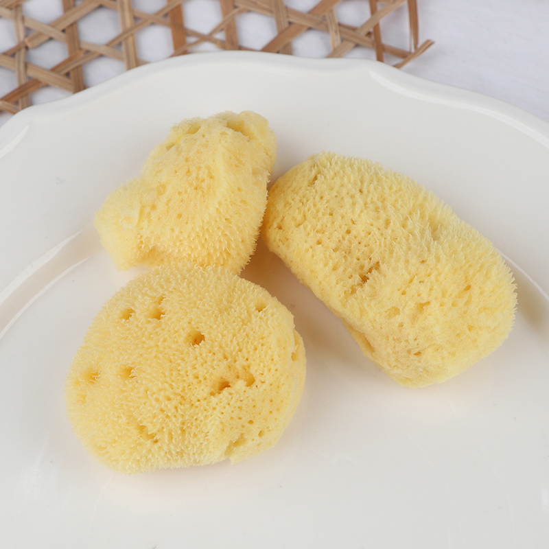 Special Texture Production Cle - Eco Sponge review and price