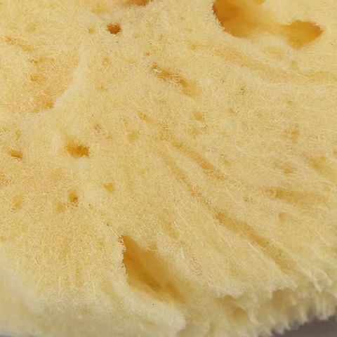 Special Texture Production Cle - Eco Sponge review and price