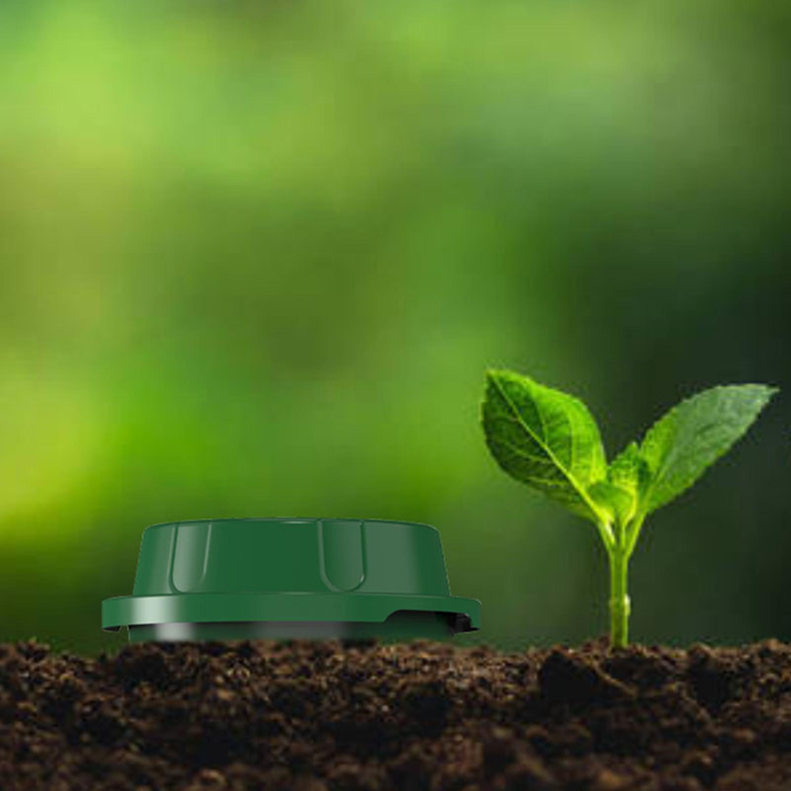 Inground Worm Composter With V - Compost Bin review and price