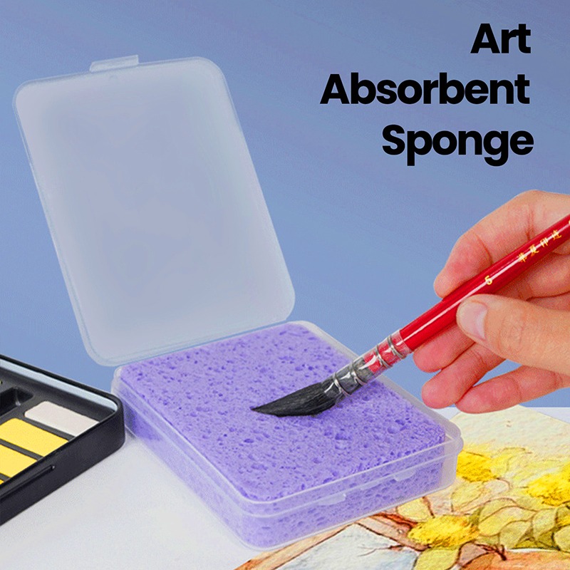 Boxed Watercolor Pigment Paint - Eco Sponge review and price