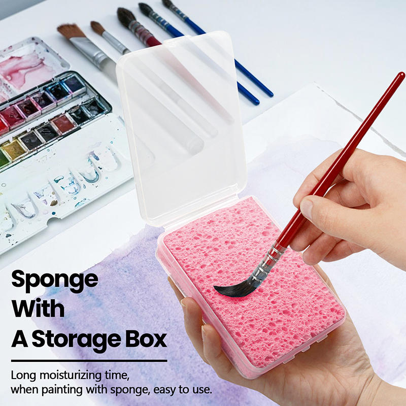 Boxed Watercolor Pigment Paint - Eco Sponge review and price