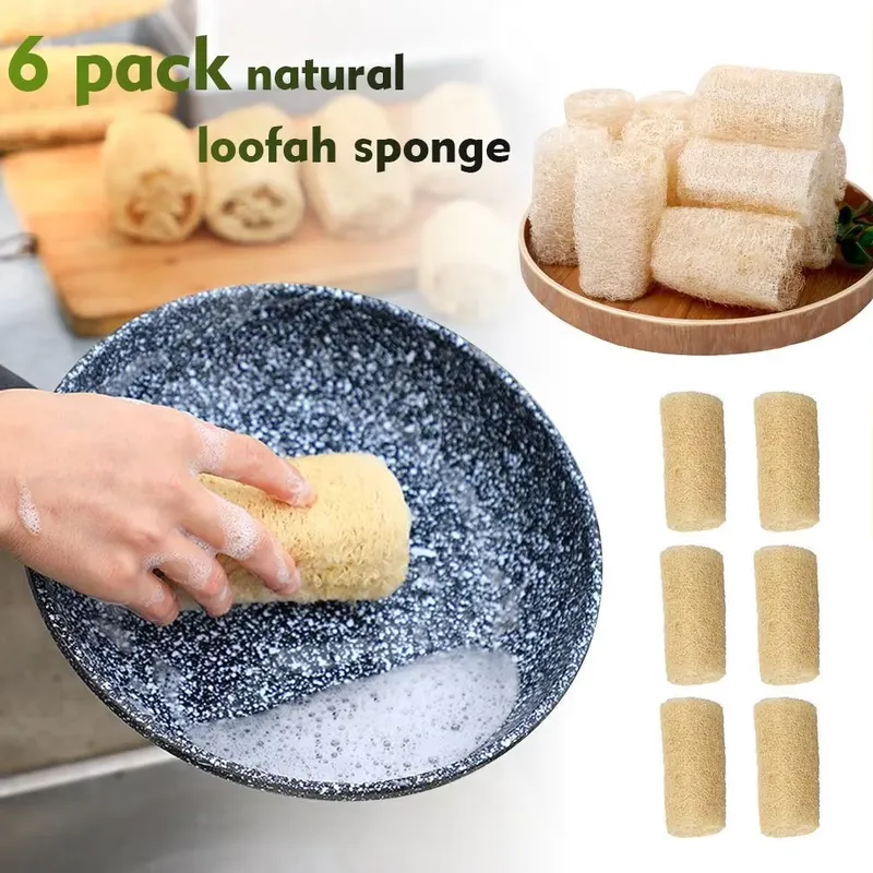 2026 Latest Natural Loofah Luf - Eco Sponge review and price